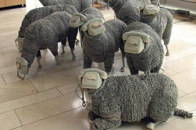 Telephone Sheep - Jean Luc Cornec (Google)